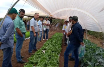 Emater-DF encerra 2024 com mais de 167 mil atendimentos e impulsiona a agricultura no DF