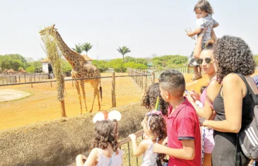 Férias escolares no Zoológico de Brasília