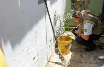 DF recebe mutirão de combate à dengue neste sábado (14)