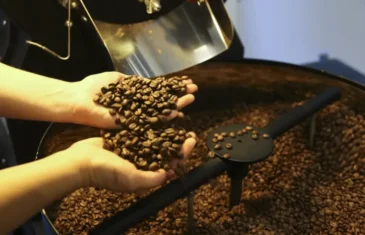 Brasil exporta 46 milhões de sacas de café, atingindo recorde em 2024