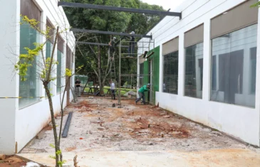 Reforma do Museu de Ciências Naturais do Zoológico de Brasília entra na fase final