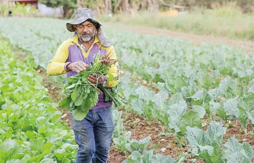 Emater-DF: seminário debate mudanças climáticas e agricultura sustentável