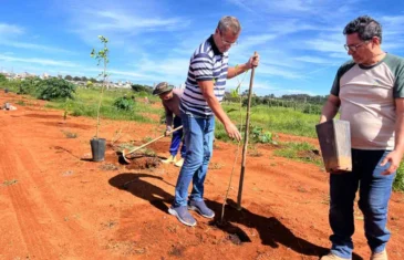 Parque Ecológico do Riacho Fundo recebe plantio de mudas nativas do Cerrado