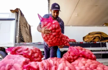 Conab aponta queda de preço da batata e alta da cebola e tomate