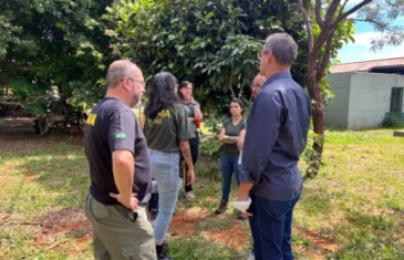 Parceria entre órgãos ambientais investe nos cuidados com a fauna silvestre