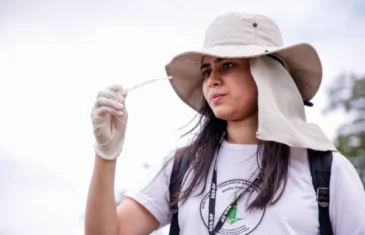 Incidência da dengue é considerada baixa em 33 regiões administrativas do DF