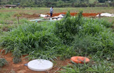 Programa do GDF em áreas rurais impulsiona segurança alimentar e hídrica