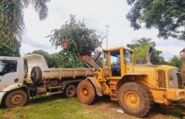 Áreas do Plano Piloto recebem ações de limpeza e manutenção