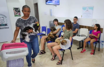 Programa de castração do GDF já atendeu mais de 700 animais em fevereiro