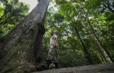 Conabio lança novas metas de conservação da biodiversidade para 2030