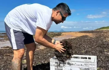 ‘Economia azul’: algas marinhas viram adubo e exemplo de transformação de resíduos da pesca