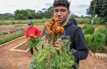 Estudantes de São Sebastião visitam horta comunitária do Alto Mangueiral