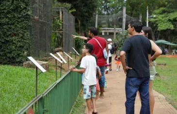 Zoológico de Brasília: alimentação-surpresa para animais diverte visitantes