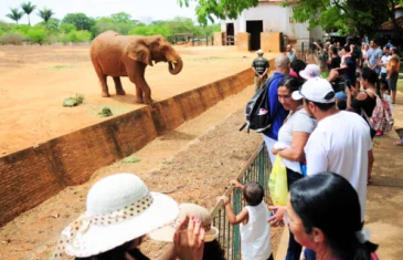 Zoológico de Brasília terá entrada gratuita para mulheres no próximo sábado (8)