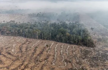 Fundo da Amazônia terá contribuição de R$ 91 milhões da Irlanda