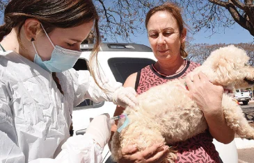 Caravana de Proteção Animal chega ao Sudoeste neste sábado (15)