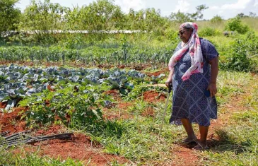 Força feminina impulsiona e fortalece a agricultura familiar no DF