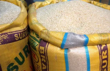 Contra alta nos preços, governo prepara compra de 91 mil toneladas de arroz em abril