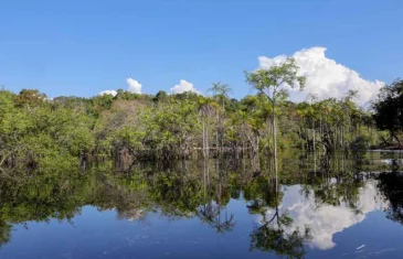 Pesquisa aponta situação preocupante dos rios na Mata Atlântica