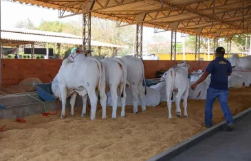 Governo do DF reforça importância da vacinação de rebanhos contra raiva