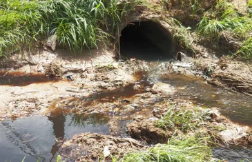 Baía da Guanabara recebe três milhões de litros de chorume por dia