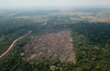 Desmatamento na Amazônia aumenta 55% em abril