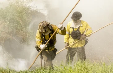 Inscrições abertas para contratação temporária de 150 brigadistas florestais