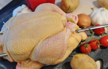 Rússia e outros 3 países reduzem embargo à carne de frango do Brasil