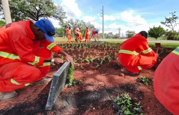 Novacap oferece curso gratuito de qualificação profissional em jardinagem