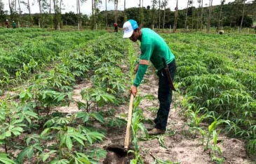 Comissão da Câmara aprova seguro-desemprego para agricultores familiares e seringueiros