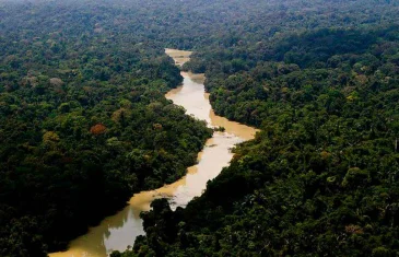 Saiba como se formaram a Margem Equatorial e o petróleo da região