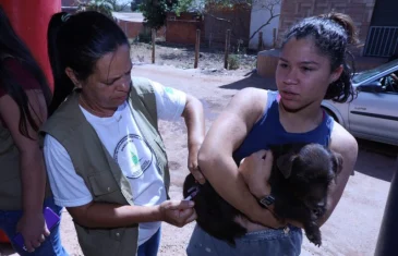 GDF disponibiliza mil vagas para castração gratuita de cães e gatos em Sobradinho