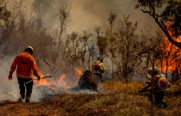 Câmara aprova punição maior para quem provocar incêndio em florestas