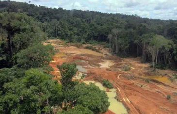 Operação da PF combate lavagem de dinheiro do garimpo na terra Yanomami