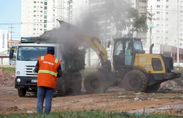 Esforços do Governo refletem na redução dos casos de dengue no DF