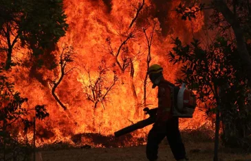 Queimada recorde de 2024 levou à destruição de 30 milhões de hectares no Brasil
