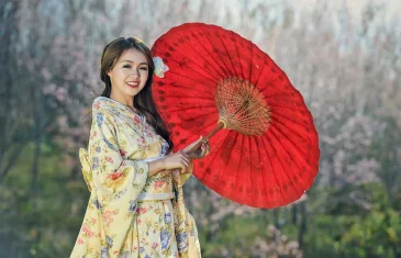 Festival do Japão celebra cultura nipônica em Brasília