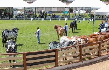 Feira do Produtor Rural destaca protagonismo feminino no campo 