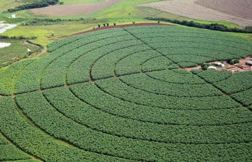 Governo lança Plano Safra 25/26 com R$ 516,2 bilhões em crédito agrícola
