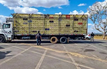 Conheça as ações de educação sanitária do GDF para prevenir doenças que afetam a agropecuária