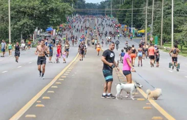 Caravana de Proteção Animal chega ao Eixão do Lazer neste domingo (13)