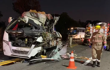 Acidente entre caminhão e ônibus deixa 5 mortos na BR-153 em Goiás