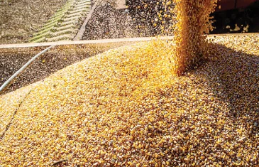 Tarifaço pode tirar quase US$ 6 bilhões do agro brasileiro, estima CNA