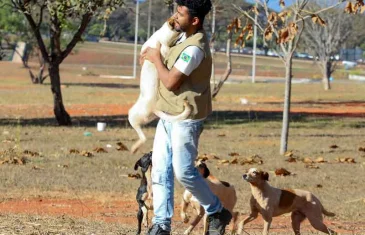 Operação coordenada pelo GDF resgata animais em situação de rua