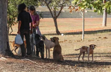Hotel Social do DF acolhe população em situação de rua e seus pets