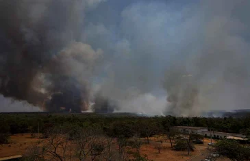 Goiás em alerta extremo para incêndios
