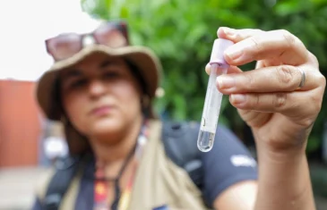 Saúde reforça vigilância contra doenças causadas por mosquitos