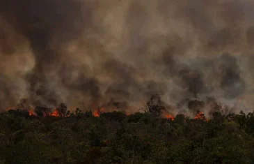Em uma semana, queimadas disparam 152% em Goiás