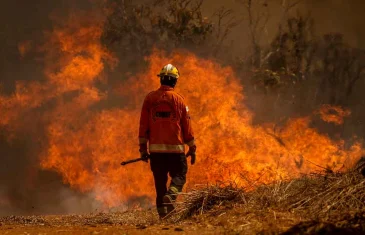 Comissão da Câmara Legislativa debate incêndios no DF nesta quinta
