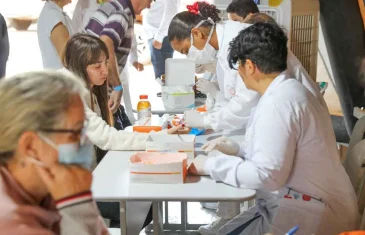 Casos de dengue e chikungunya registrados  entre 2015 e 2024 custaram R$ 1,2 bi ao SUS